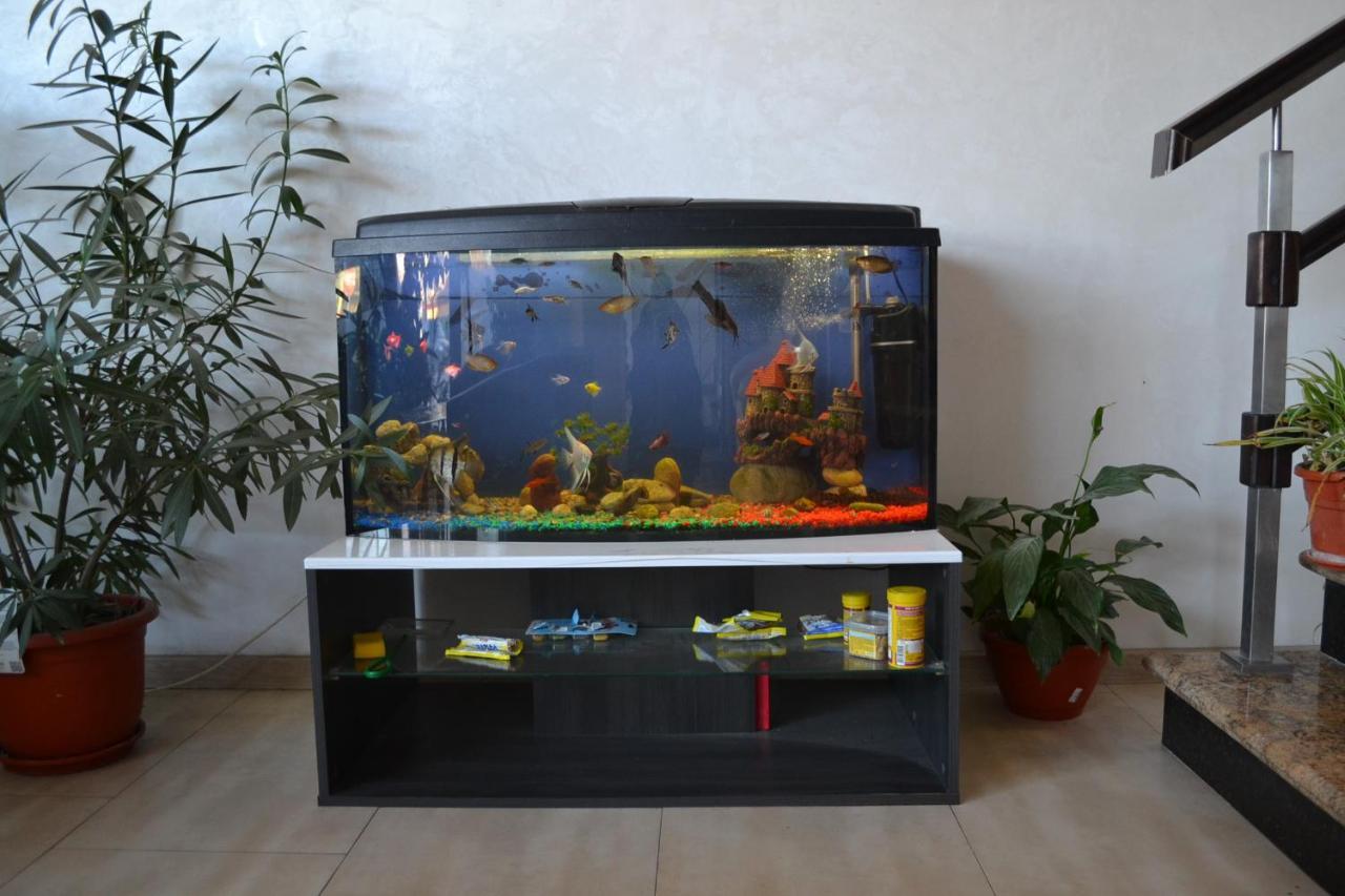 Hotel Live Tulcea